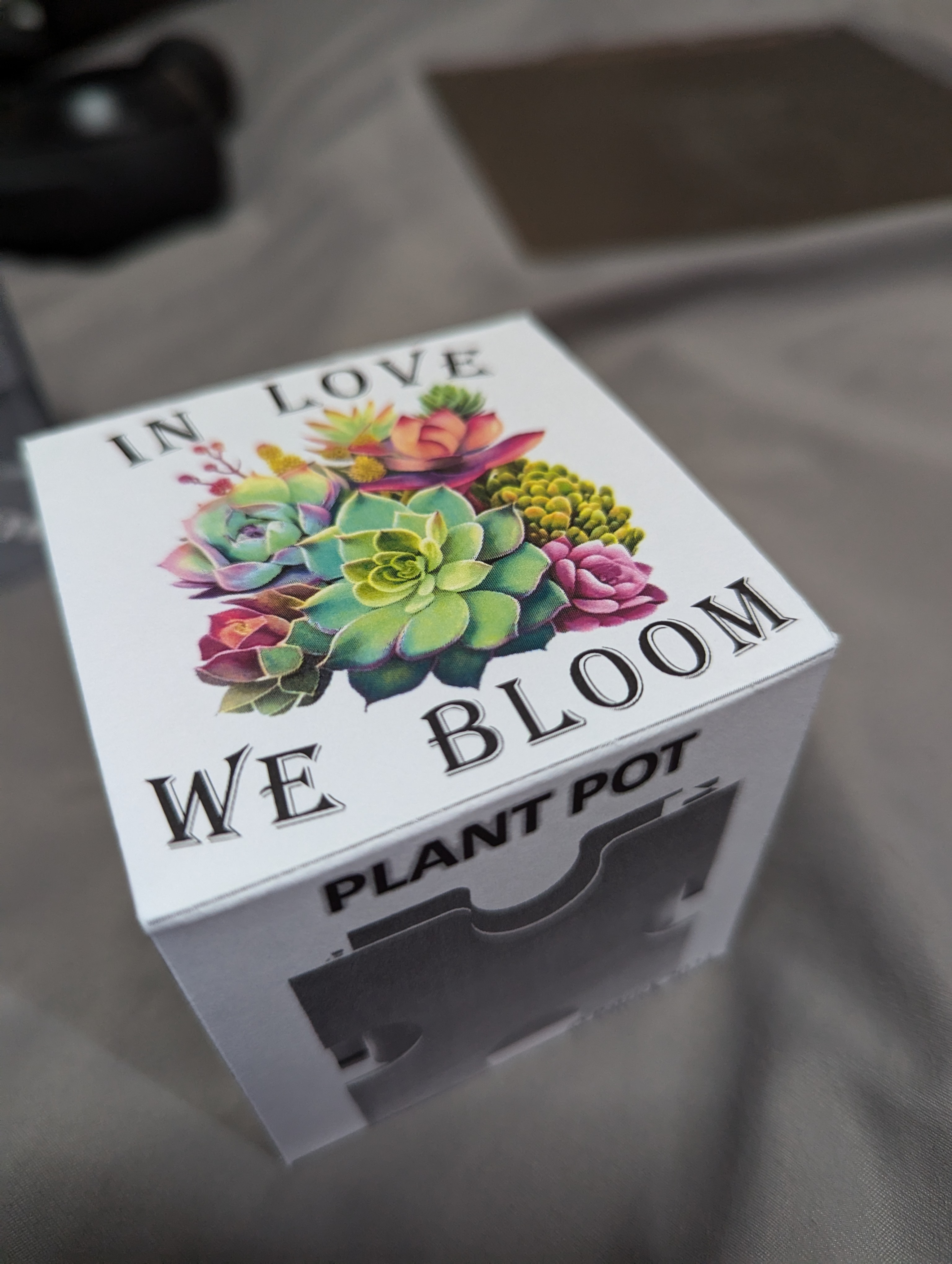 The center of my world